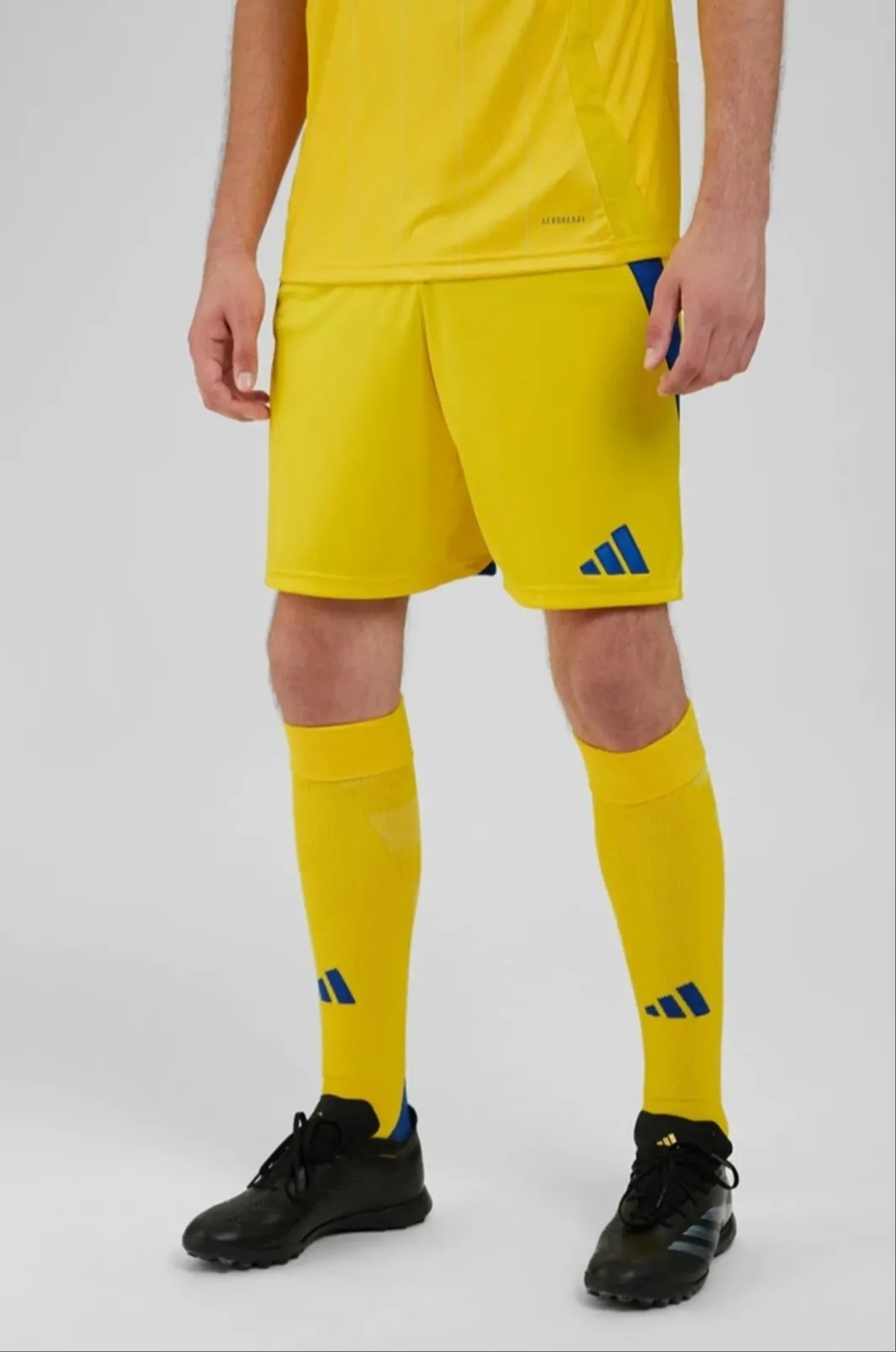 Чоловічі домашні шорти "Ukraine 24"