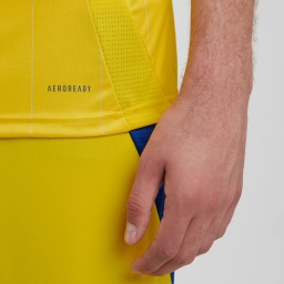 Чоловіче домашнє Джерсі "Ukraine 24" Розмір: S, Color: Жовтий