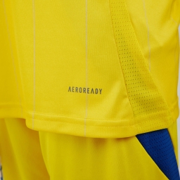 Домашнє джерсі "Ukraine 24" Kids Color: Жовтий, Розмір: 128